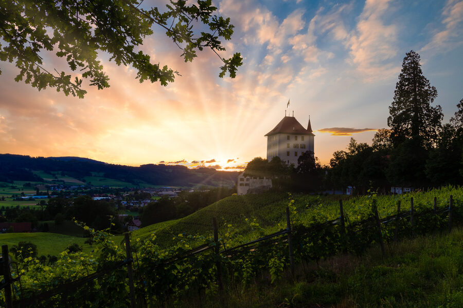 Schloss Heidegg